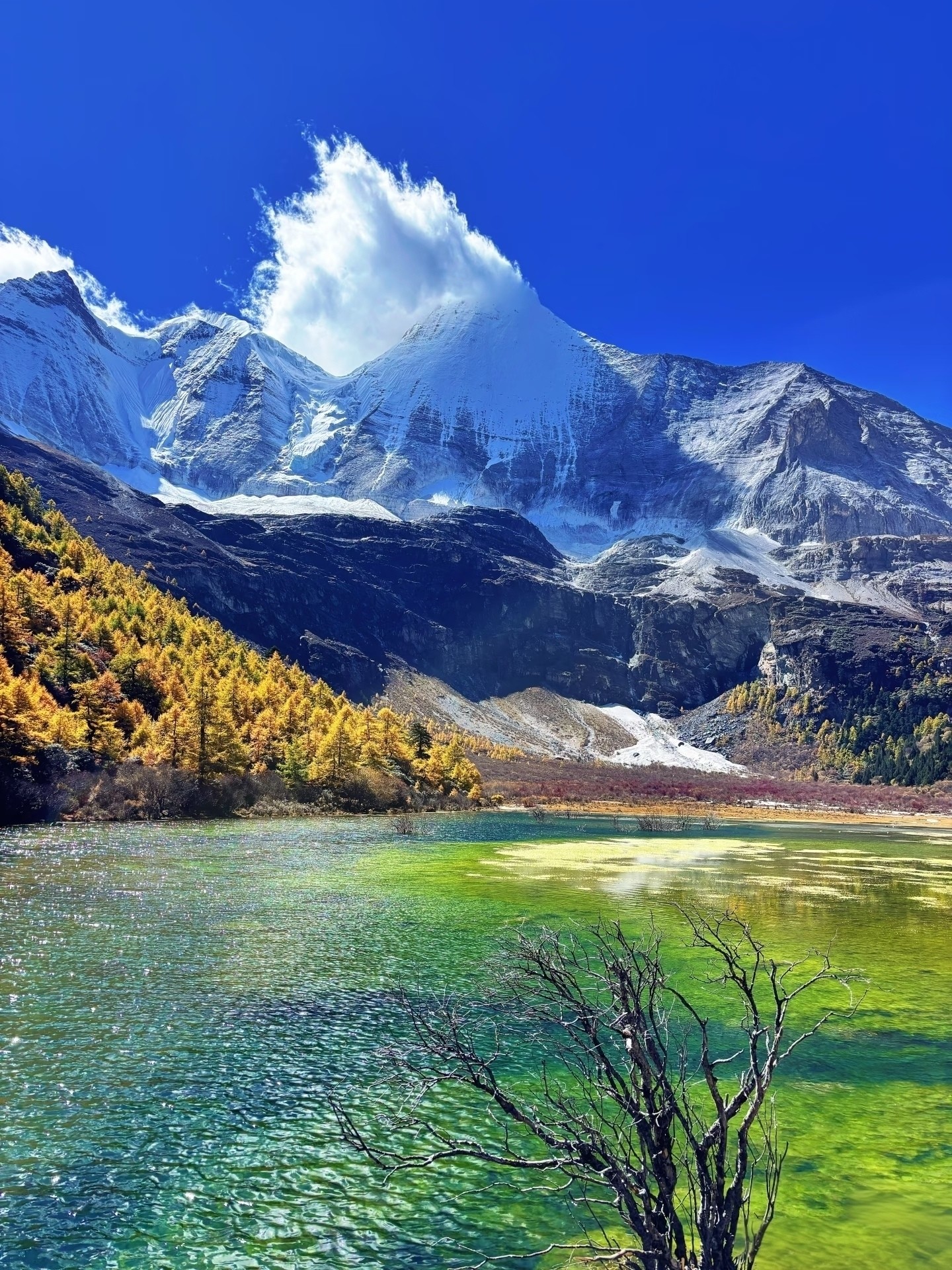 Daocheng Yading's three sacred mountains rising above alpine meadows and turquoise lakes
