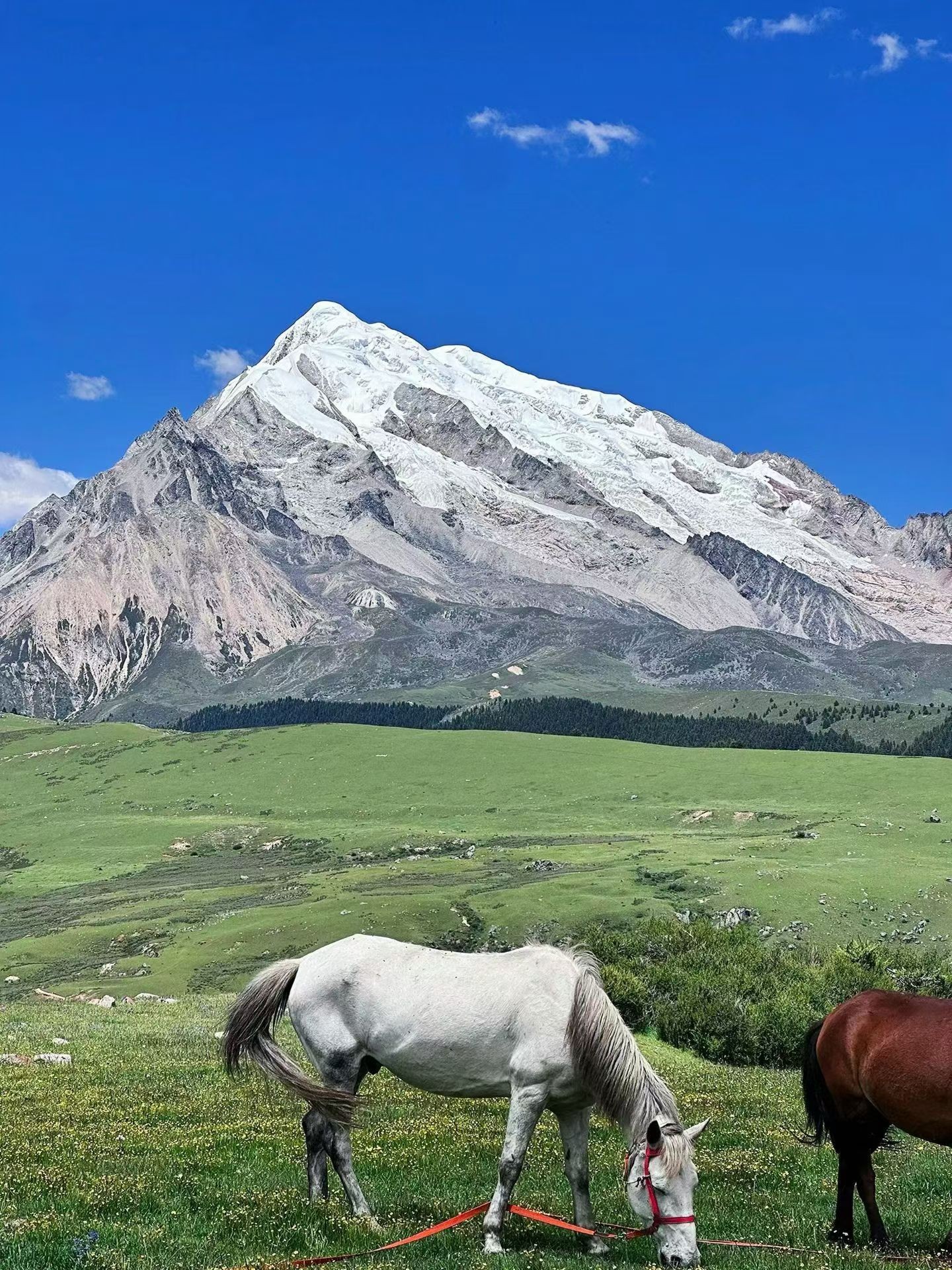 Genyen Sacred Mountain — remote peaks of western Sichuan with alpine meadows