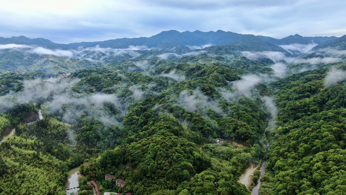 Nankunshan National Forest Park — 97.94% forest coverage in Guangdong