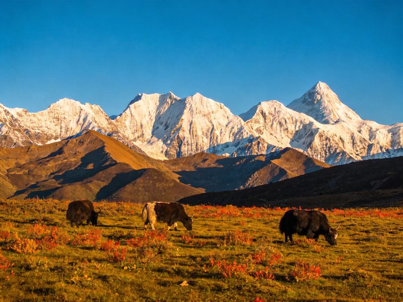Mount Siguniang's snow-capped peaks rising above alpine valleys