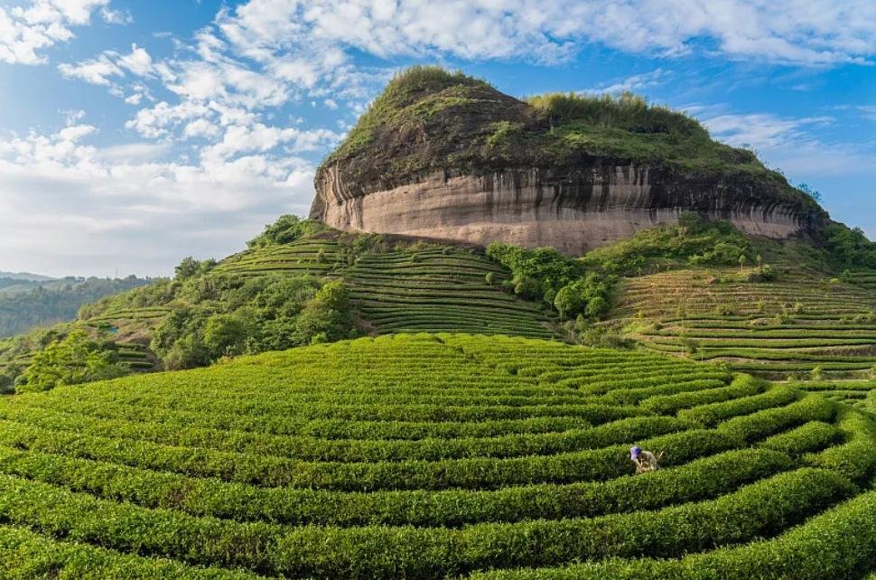 Wuyishan tea terraces and Danxia cliffs — a UNESCO dual heritage site in Fujian